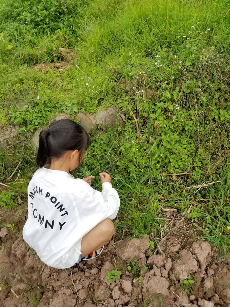 QQ图片20180620095454.jpg