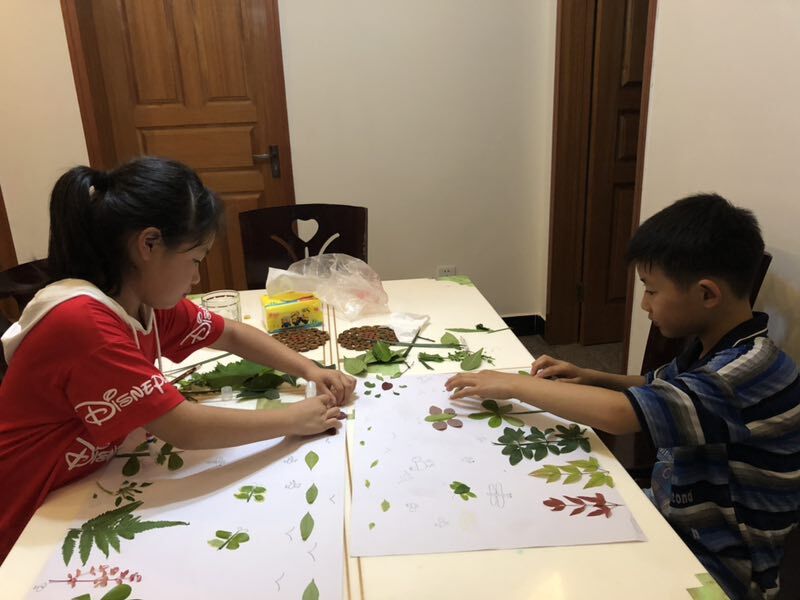 QQ图片20180620095502.jpg
