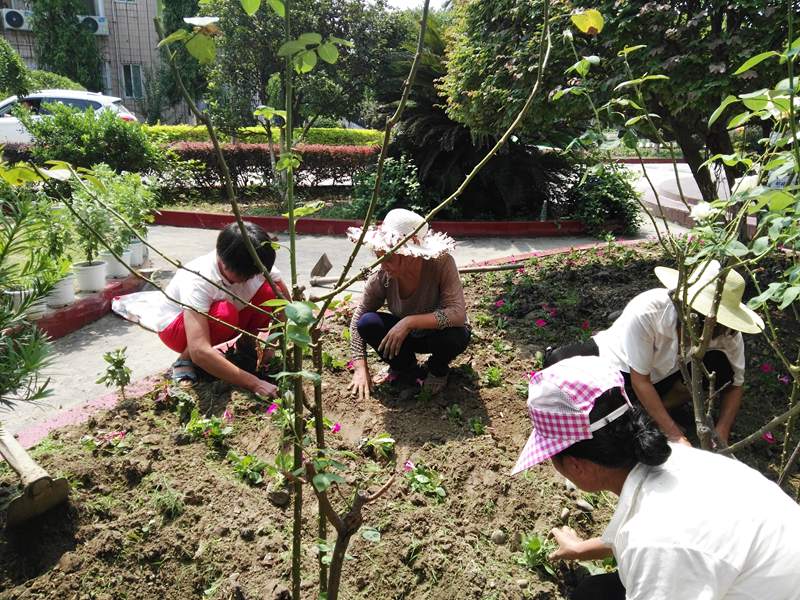 1535874361845506.jpg 1916272774.jpg