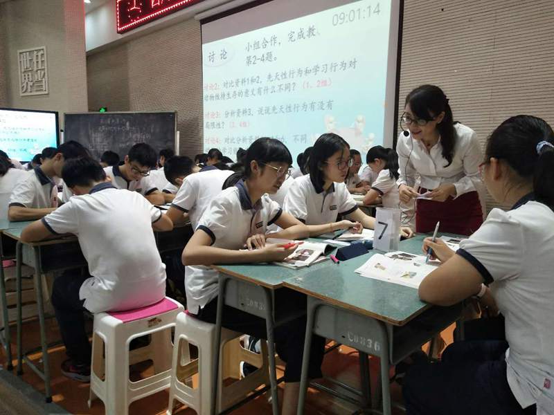 1537951920110418.jpg 440503033.jpg