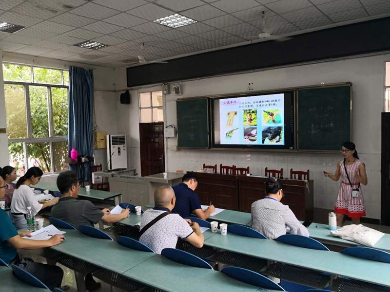 1537951936127112.jpg 1772248426.jpg