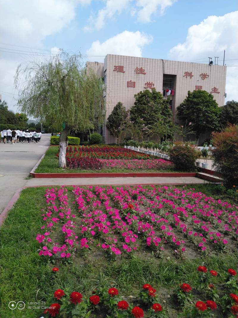 1542092679761277.jpg 1923764809.jpg