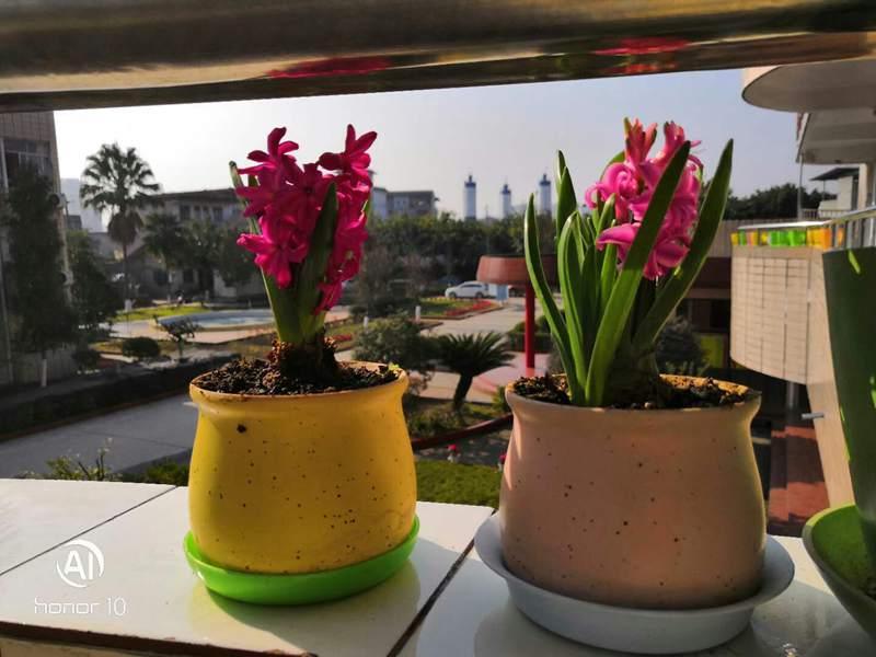 1547452234113756.jpg 1464166216.jpg