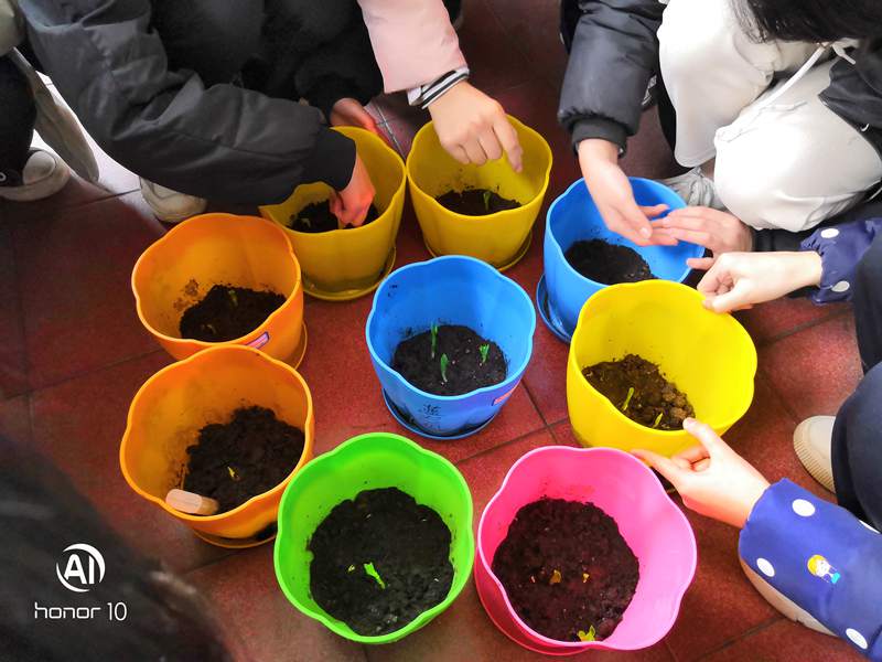 1547517841125587.jpg 1244430957.jpg