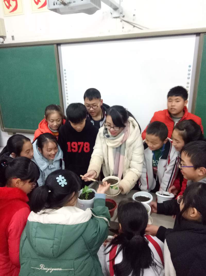 1547517888535447.jpg 1784116199.jpg