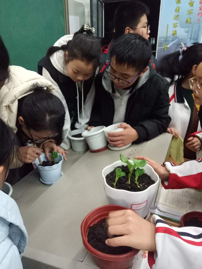 1547517902716336.jpg 621954095.jpg