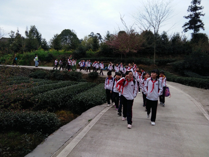 1552616493120561.jpg QQ图片20190315100630.jpg