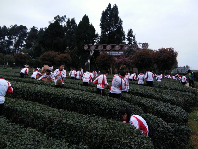 1552616601839091.jpg QQ图片20190315100635.jpg