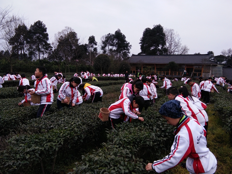 1552616624968290.jpg QQ图片20190315100650.jpg