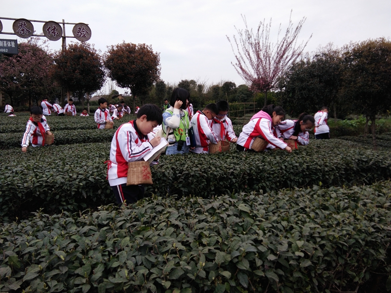 1552616675625701.jpg QQ图片20190315100655.jpg