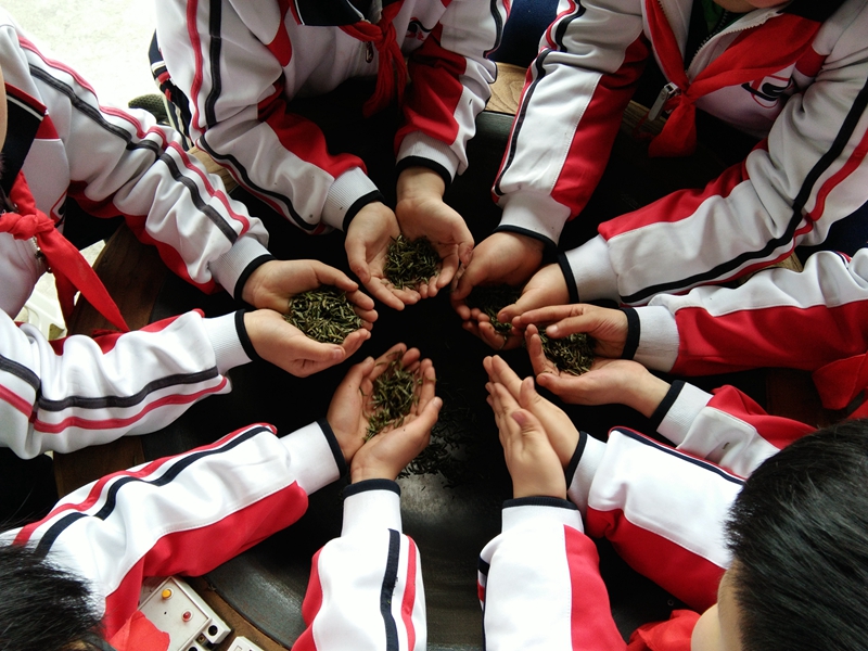 1552616793467577.jpg QQ图片20190315100711.jpg