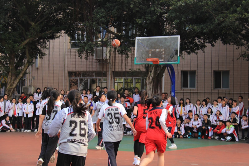 1553049434361493.jpg IMG_9926.JPG