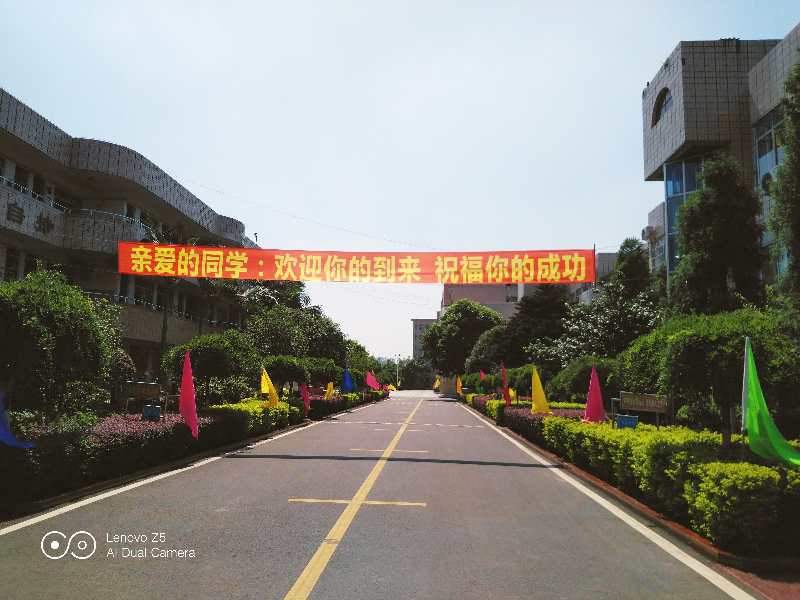 1560406806544268.jpg 5.jpg