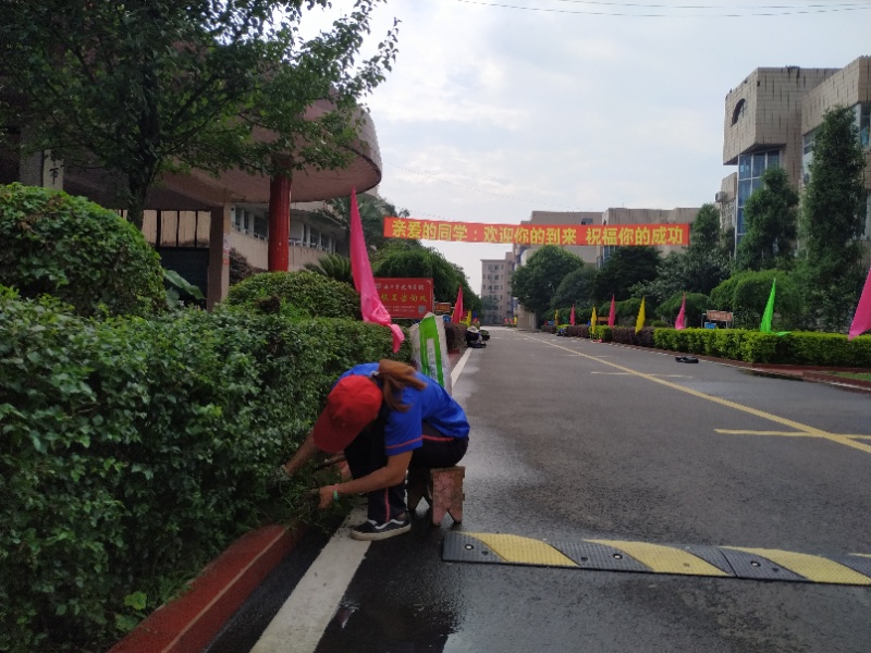 1560406911404873.jpg 10.jpg