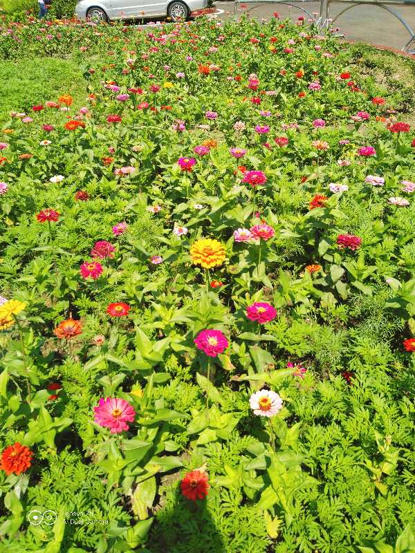 1560406950128661.jpg 4.jpg