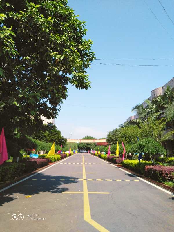 1560407264232934.jpg webwxgetmsgimg (2).jpg