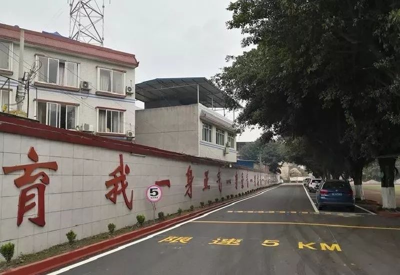 1561339673310180.jpg 2.jpg