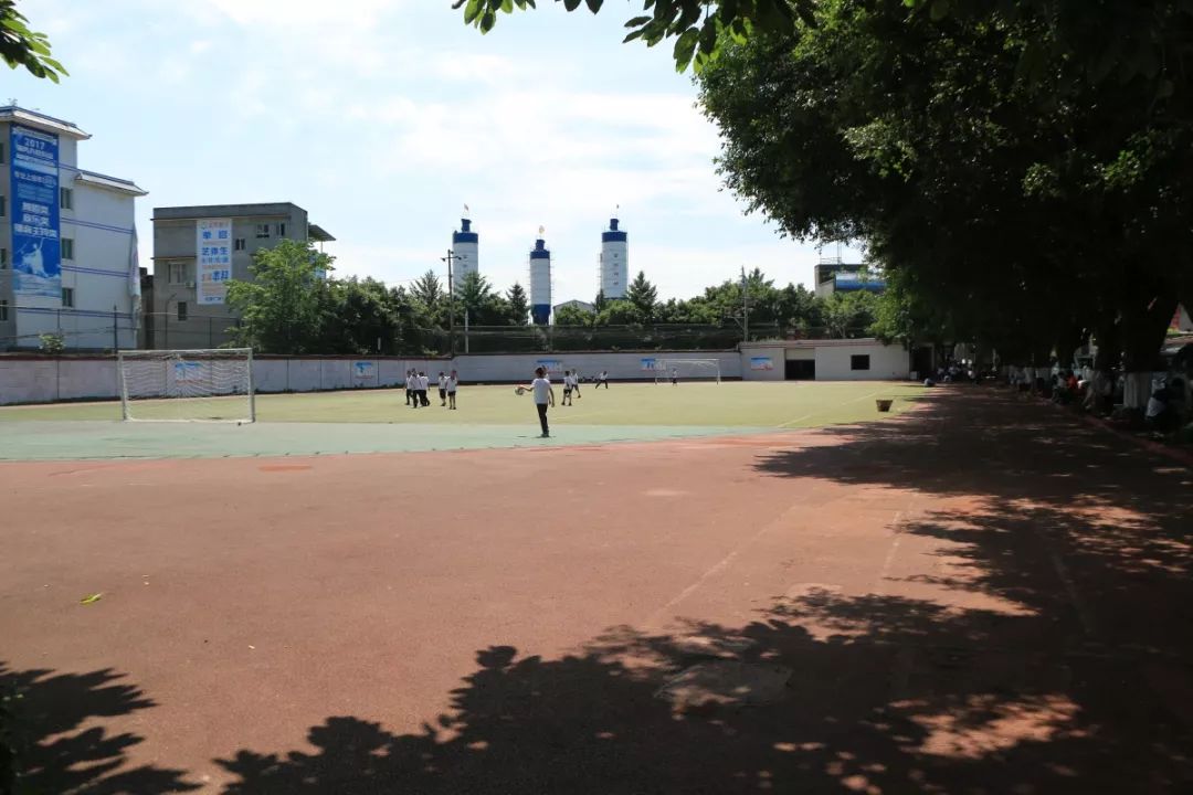 1561339702583195.jpg 3.jpg