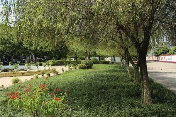 1561339750607070.jpg 5.jpg