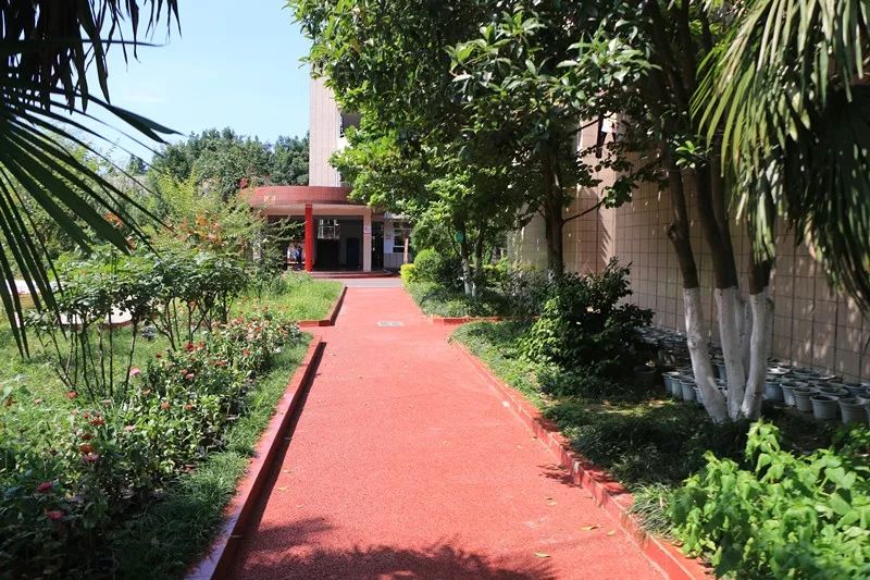 1561339768128702.jpg 6.jpg