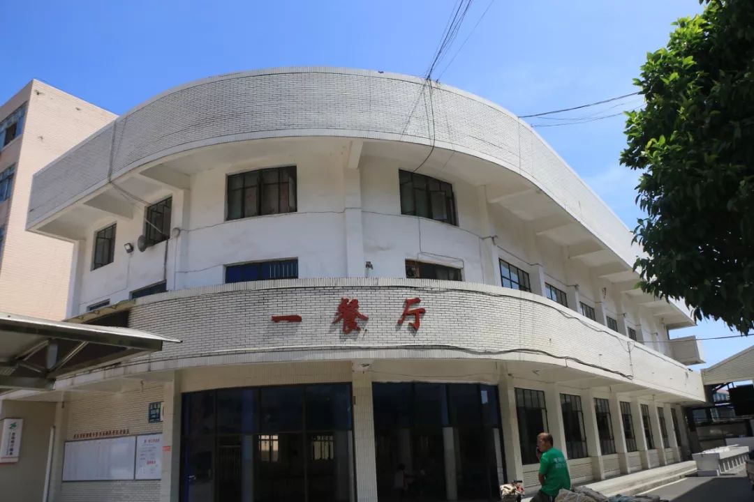 1561339799106795.jpg 8.jpg