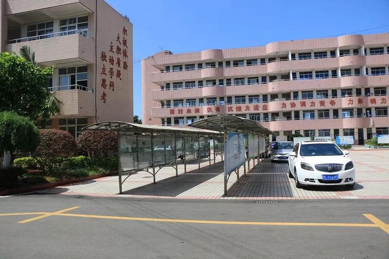 1561340139129837.jpg 16.jpg