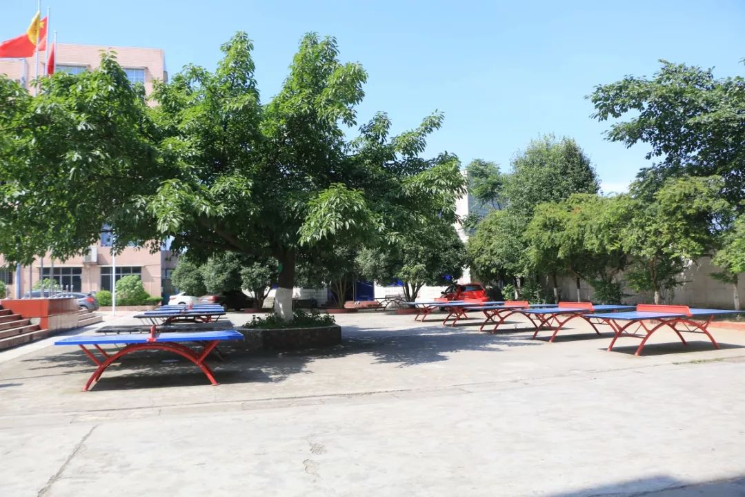 1561340158107839.jpg 17.jpg