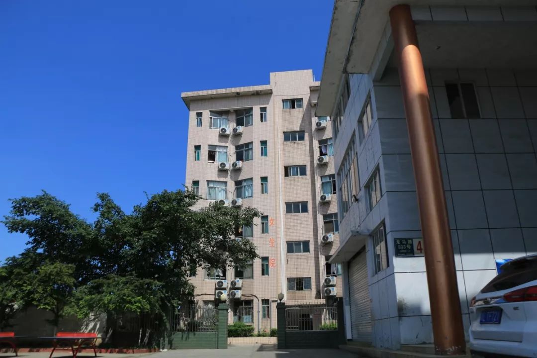 1561340199379788.jpg 18.jpg