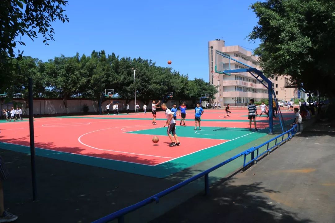 1561340228138183.jpg 20.jpg